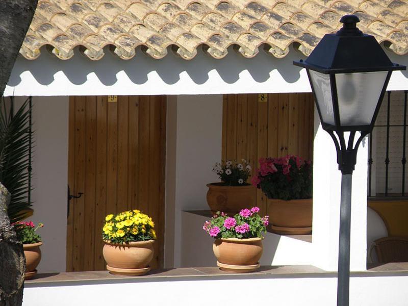 Hostal Las Acacias ロス・カーニョス・デ・メカ エクステリア 写真